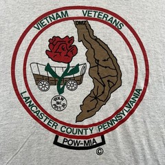 Vintage Vietnam Veterans Shirt Mens XL Gray Single Stitch POW MIA Screen Stars