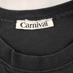 Got Fun? Carnival Cruises Vintage T Shirt Heavy Cotton Men 2XL