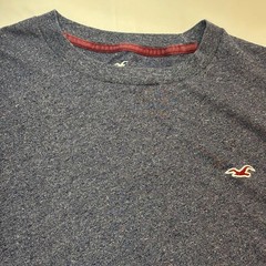 Hollister Must Have Collection Men’s Blue T-shirt Size Med Short Sleeve Logo