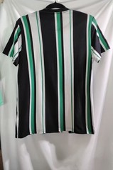 Hollister Must-Have Collection Tshirt Vertical Striped Black Green Mens Medium