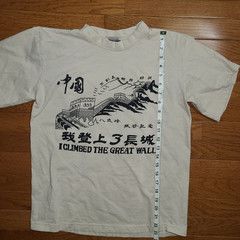 Great Wall of China I climbed the Great Wall Beige Tshirt Souvenir Beige China