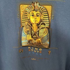 Gildan Mens Blue Tutankhamun And The Golden Age Of The Pharaohs T-Shirt XXL
