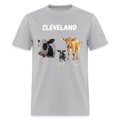 CAVS