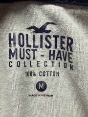 Hollister Must Have Collection T Shirt Mens Medium Light Green Cotton Crew Neck