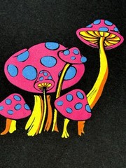 ALAB Black Neon Magic Mushroom T-shirt Men’s Medium Psychedelic Wizard New