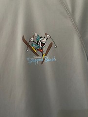 Disney Blizzard Beach Sports Activewear Gym T-Shirt S Grey Logos Good Condition