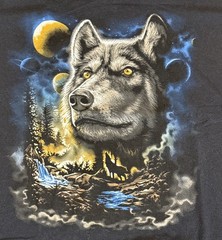 DOM Wolf Shirt Mens Size 3XL Moon Space Waterfall Nature Black Short Sleeve Tee