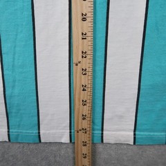 Vintage 90s HRLA San Francisco Striped T-Shirt Mens L/XL Teal White Made in USA