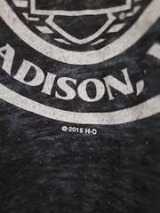 Harley Davidson Men’s 2XL Madison WI Lightweight Stretch Black T-Shirt