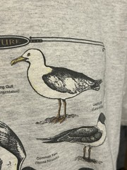 VTG Cape Cod Nature Shore Birds Shirt Men XL Gray Short Sleeve Bird Watchers