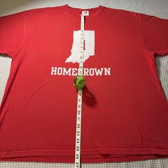 Men’s Haynes 100% Cotton Graphic Print T XXL Indiana Hoosiers Homegrown Shirt
