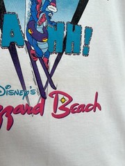 Vintage 90s Disney Blizzard Beach I Survived Summit Plummet White T-shirt