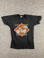 Vintage Screen Stars Harley-Davidson Shirt Mens Small Black North Texas Tee