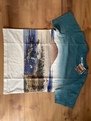 UNIQLO UT Hiroshige Ukiyo-e Kyoto Kinkakuji T-Shirt 100% Cotton Size M (US:S)