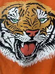 NWOT Gorgeous Bright Orange Growling Tiger Classic Graphic S/S Tee Unisex Medium