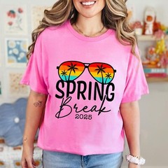 Aesthetic 2025 Spring Break Friends Family Tee Men Women T-Shirt