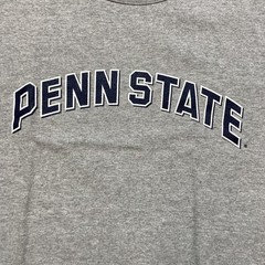 Penn State Shirt S 00s Y2k Nittany Lions Champion NCAA Field House Game-day Tee