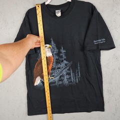 Vintage Eagle Nature Shirt Mens Large Bald Y2K Blackwater Falls West Virginia