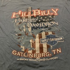 Hillbilly Harley Davison T Shirt Missing Tag M-L Gatlinburg TN 2012 20” X 28”