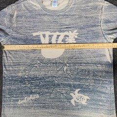 Costa Rica Shirt Mens XL Pura Vida Retreat & Spa Y2K Gildan Softstyle Crew Neck