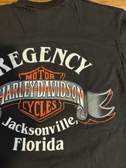 Vintage 1990s Harley Davidson The Only Way to See Florida T-Shirt Hanes Beefy