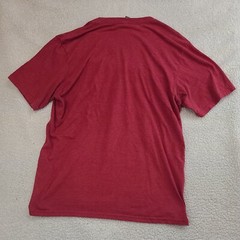 Albert Pujols Shirt Mens Large Red Homerun Club 600 T Shirt District Made