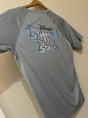 Disney Blizzard Beach Sports Activewear Gym T-Shirt S Grey Logos Good Condition