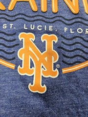 Fanatics T Shirt NY Yankees Men Blue L Grapefruit League Spring Training 2020