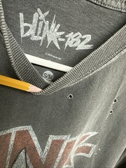 Blink 182 Shirt Original Size S/M Dude Ranch Enema Of The State Cheshire Cat +44
