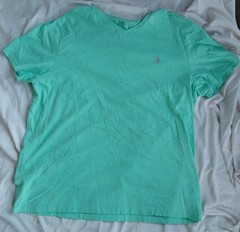 POLO RALPH LAUREN Men’s Green T-Shirt M Purple Pony Crew Neck Cotton Classic