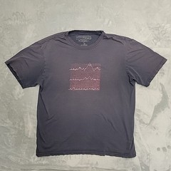 Patagonia Shirt Mens Large Blue Grunge Retro Nature Made in USA Organic Cotton