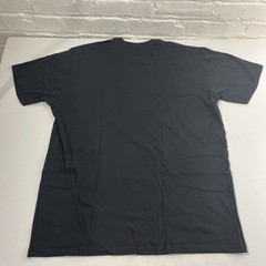 Destiny 2 Graphic T-Shirt Size XL by Bungie Dec. 2017 Explore Loot Crate Pin NEW