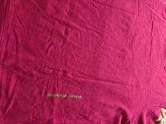 NIKE SPORTSWEAR WORLD TOUR L/S SHIRT FIREBERRY PINK MEN’S SZ L. DA0629-615 GLOW