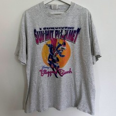Vintage Disney Blizzard Beach Summit Plummet T Shirt Mens XL Gray Graphic Tee