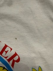 Vintage 1989 Cornhusker State Games T-Shirt Single Stitch Made in USA