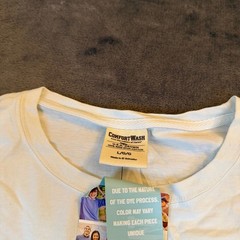 ComfortWash Mount Rainier Long Sleeve Graphic Tee Light Blue Mens Large NWT