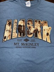 Mt. McKinley DENALI NATIONAL PARK Alaska Size Large Hipster Dad Tee NWOT Nature