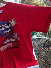 VINTAGE 80s California Raisin Style Raisin Hell In California T-shirt Large Red