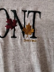 Lee Jeans Vintage 1996 Vermont Fall Autumn Embroidered Cotton T-shirt Grey Large