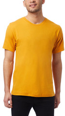 Hanes Brand Alternative Apparel Tee Shirts Men New