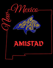 Amistad Bobcat Graphic Tee T-Shirt Bella Canvas Youth Red Black RCA Friendship