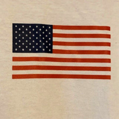 Shirt USA World Cup Ski 2024 Waterville Valley NH YOUTH LARGE Teen FIS Official