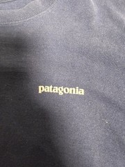 Patagonia Worn Wear Mens Long Sleeve T Shirt Blue Large Big Logo Cotton Tee