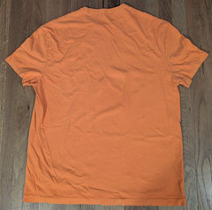 Polo Ralph Lauren Men’s Orange Seagull and Waves T-Shirt Large