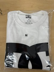 DC SHOES STAR LOGO WHITE SS T SHIRT