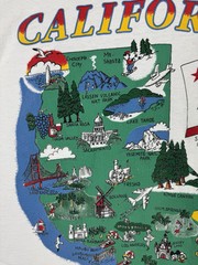 Vintage 90’s California Republic USA Map Art Logo Nature Drawing Color XL White
