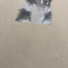 Vintage Border Collie Dog Art Shirt Mens Large 90s Y2K Brown Nature Pets Animals