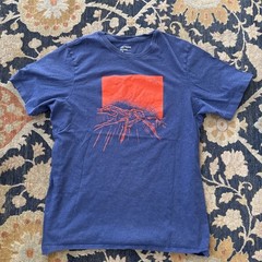 Arc’teryx Graphic Logo T-Shirt Men’s M Medium Navy Blue Red Mountains