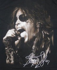 Aerosmith Steven Tyler T Shirt Size S-4XL Cotton Signature