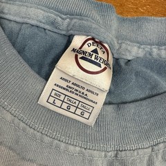 Vintage Dalta Shirt Mens Large Blue Gray Wolves Eagle 90s